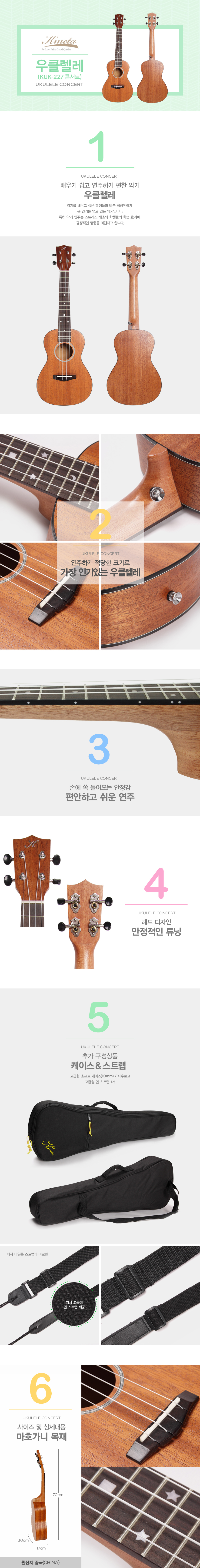 콘서트 우쿨렐레